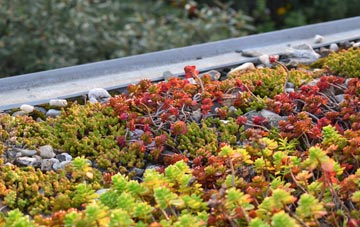 the cost of Eaglesham green roof installation