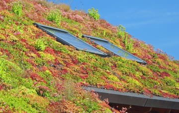 Eaglesham living roof systems