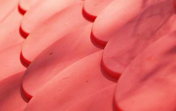 Eaglesham plastic roof costs